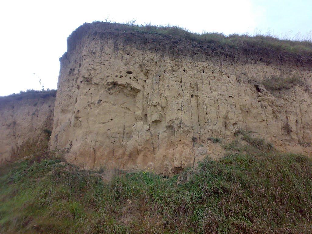 Малополовецьке з panoramio.com - Малополовецьке