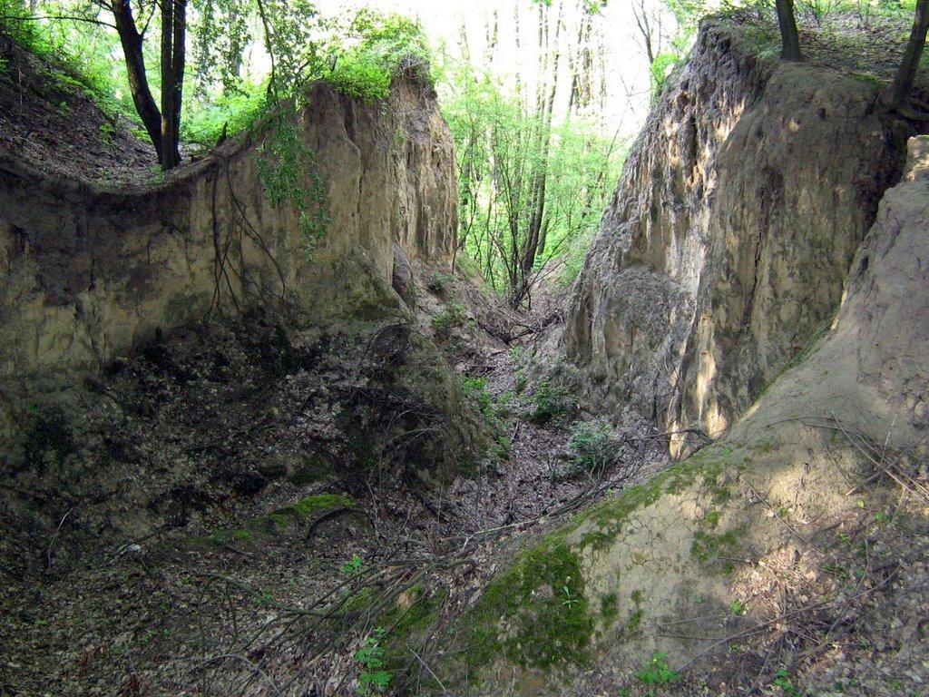 Витачів з panoramio.com - Витачев