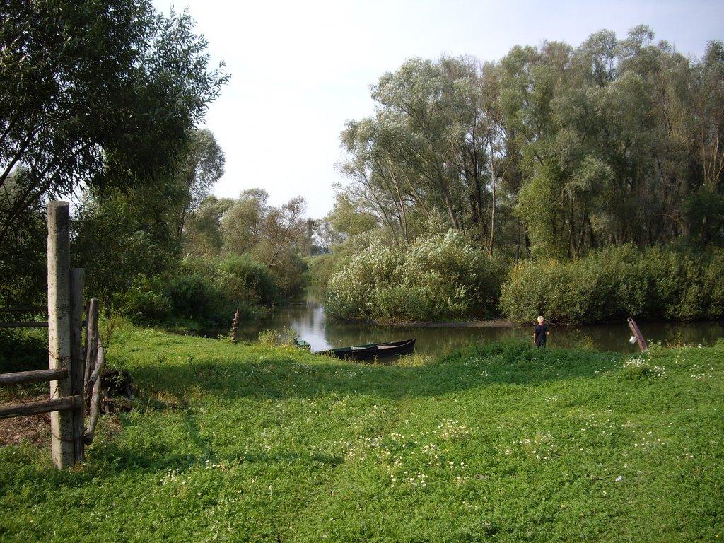 Боровичі з panoramio.com - Боровичі