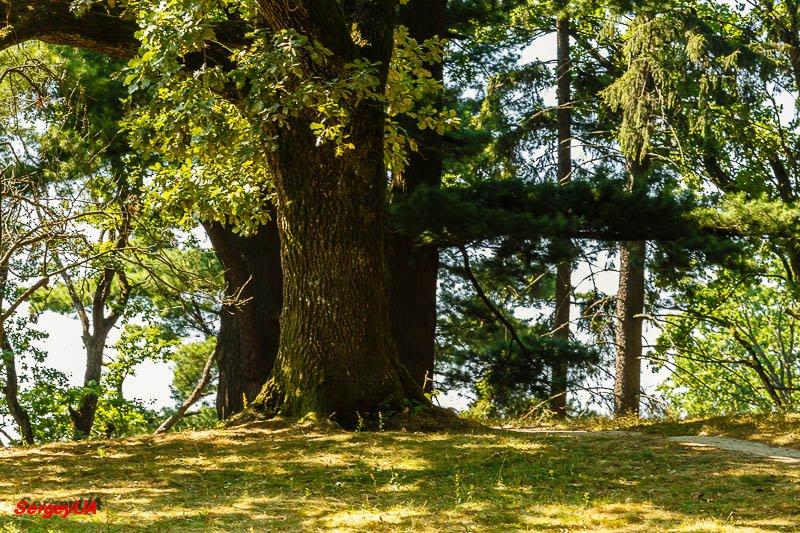 Карпати з panoramio.com - Карпаты
