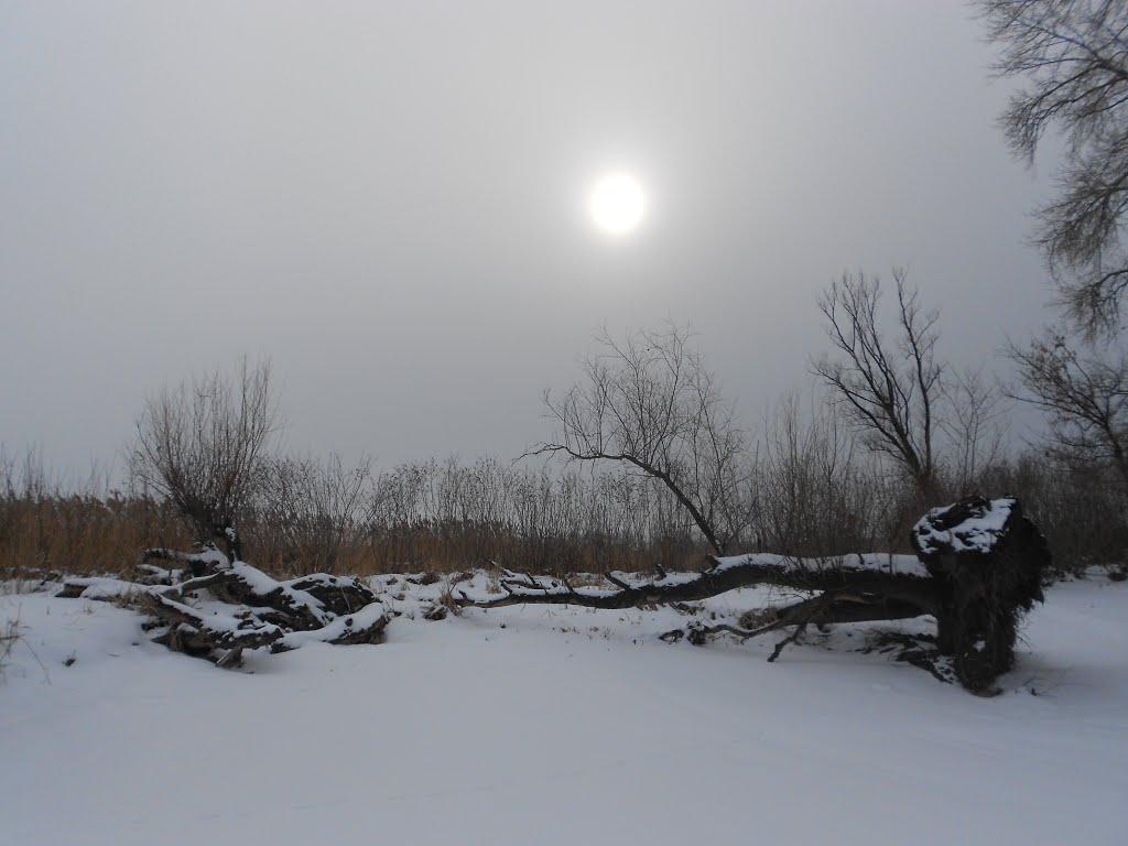 Свидівок з panoramio.com - Свидівок
