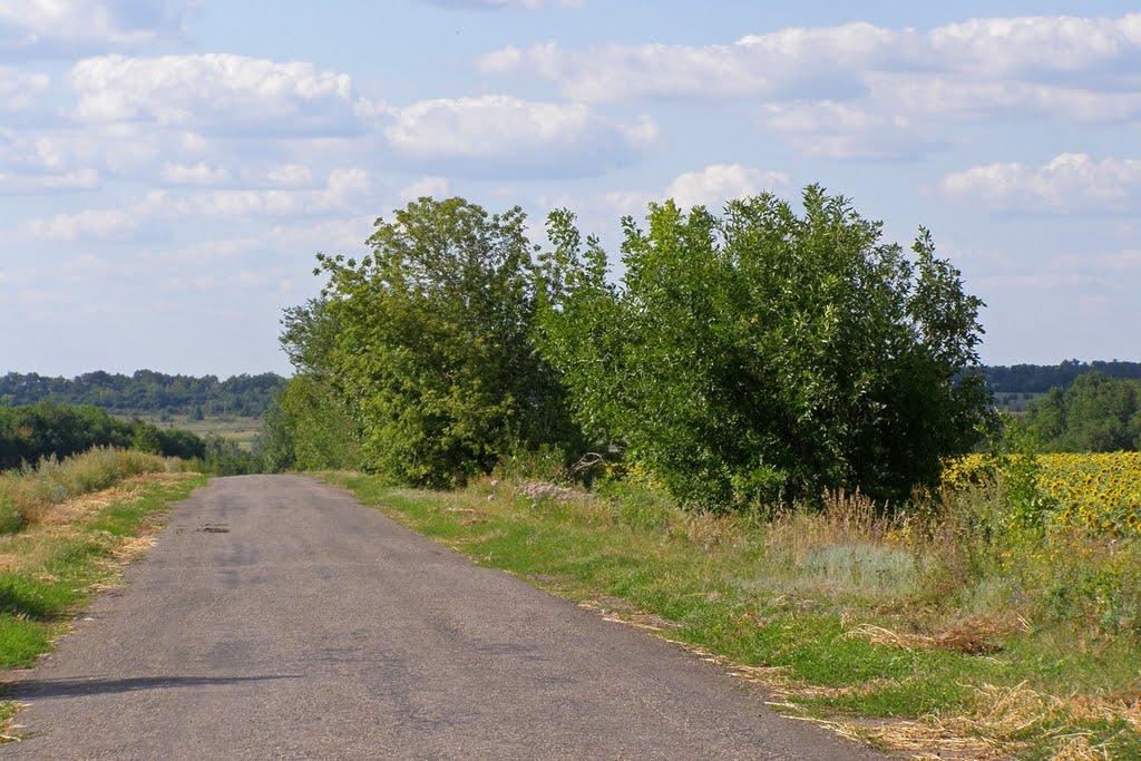 Фартуківка з panoramio.com - Фартуківка
