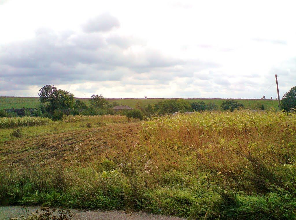 Старе Село з panoramio.com - Старое Село