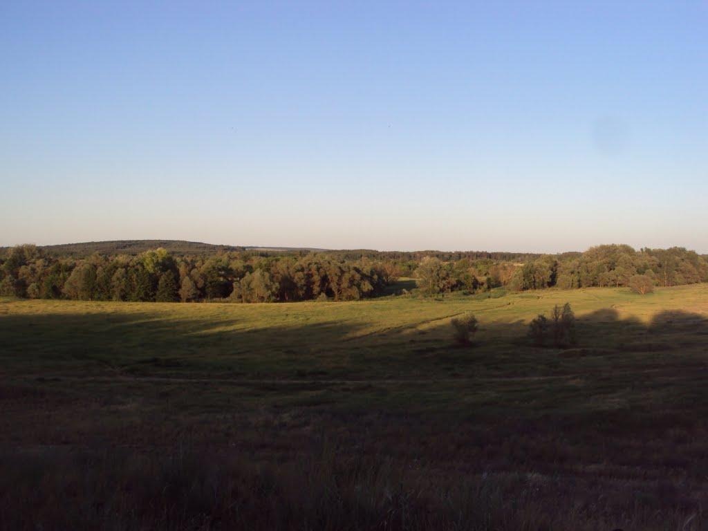 Кочеток з panoramio.com - Кочеток