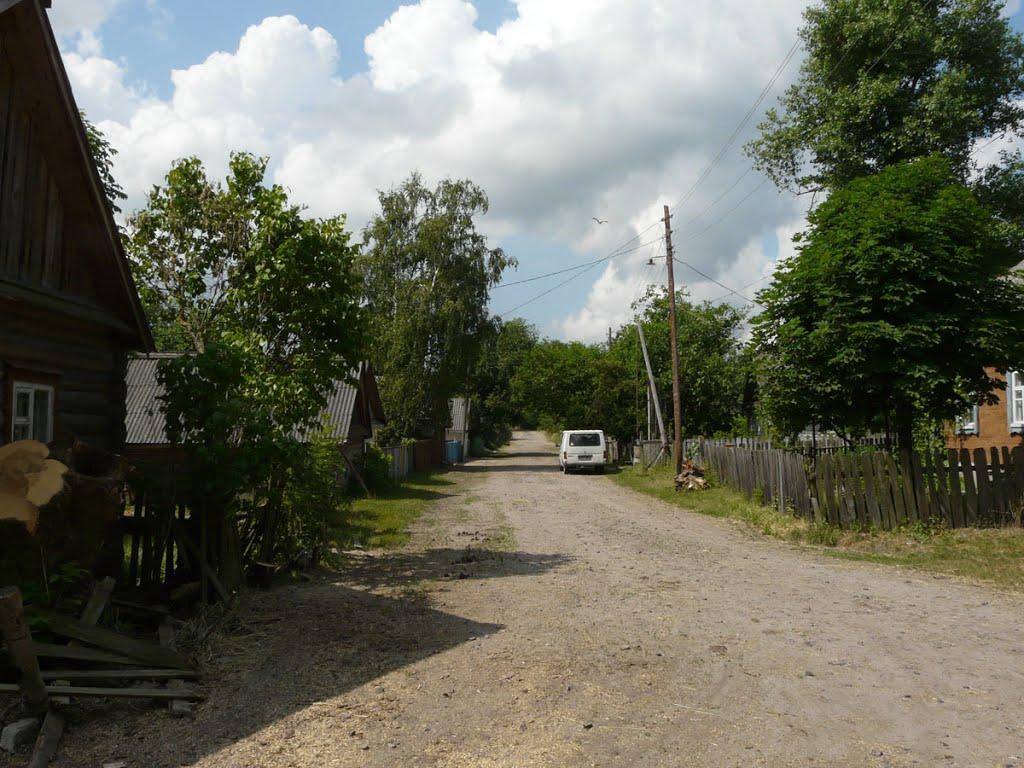 Народичі з panoramio.com - Народичі