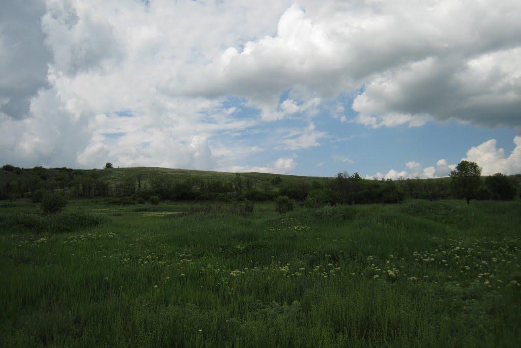 Комишне з panoramio.com - Комишне