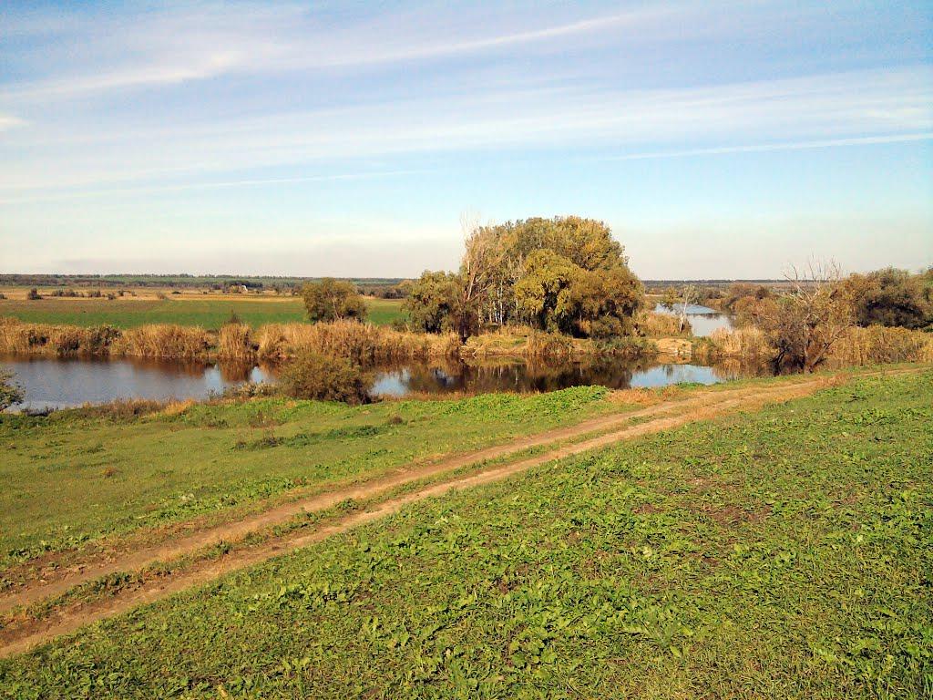 Жданове з panoramio.com - Жданово