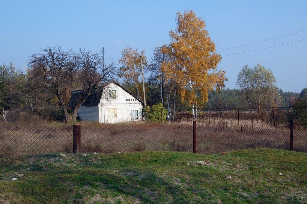 Осколонівка з panoramio.com - Осколонівка