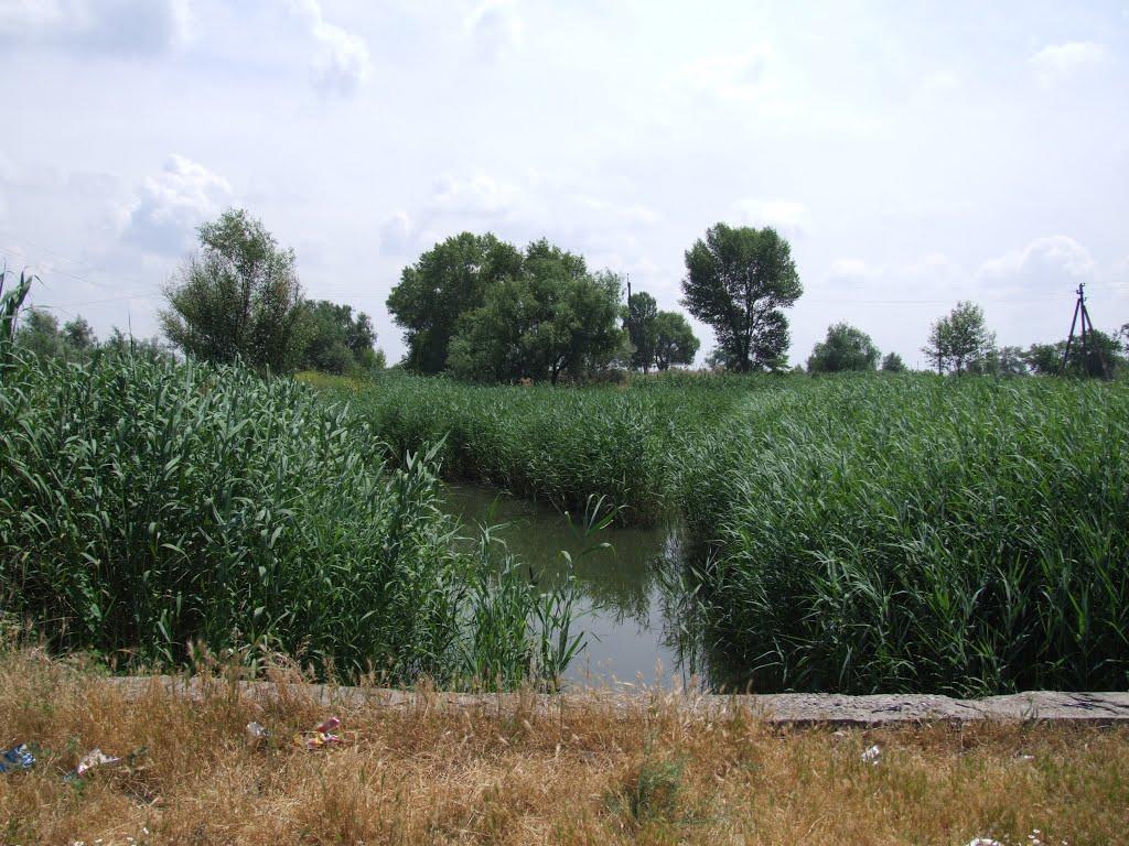 Солонці з panoramio.com - Солонці