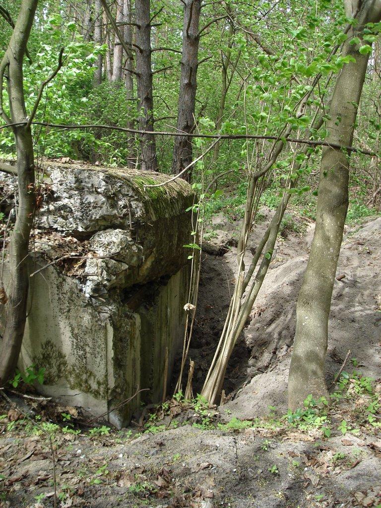 Гостомель з panoramio.com - Гостомель