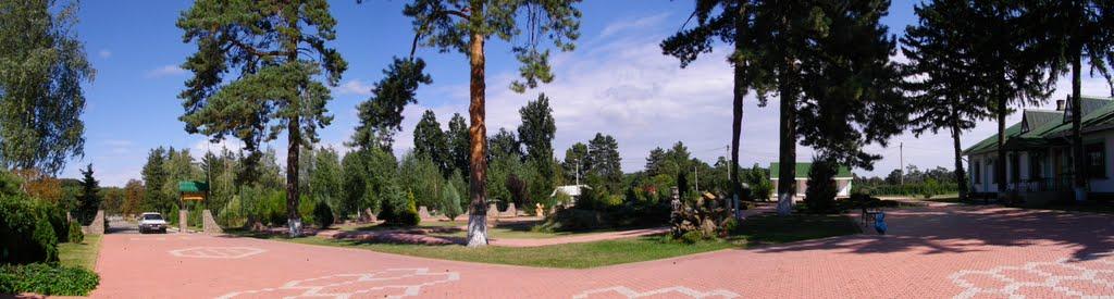 Оникієве з panoramio.com - Оникієве