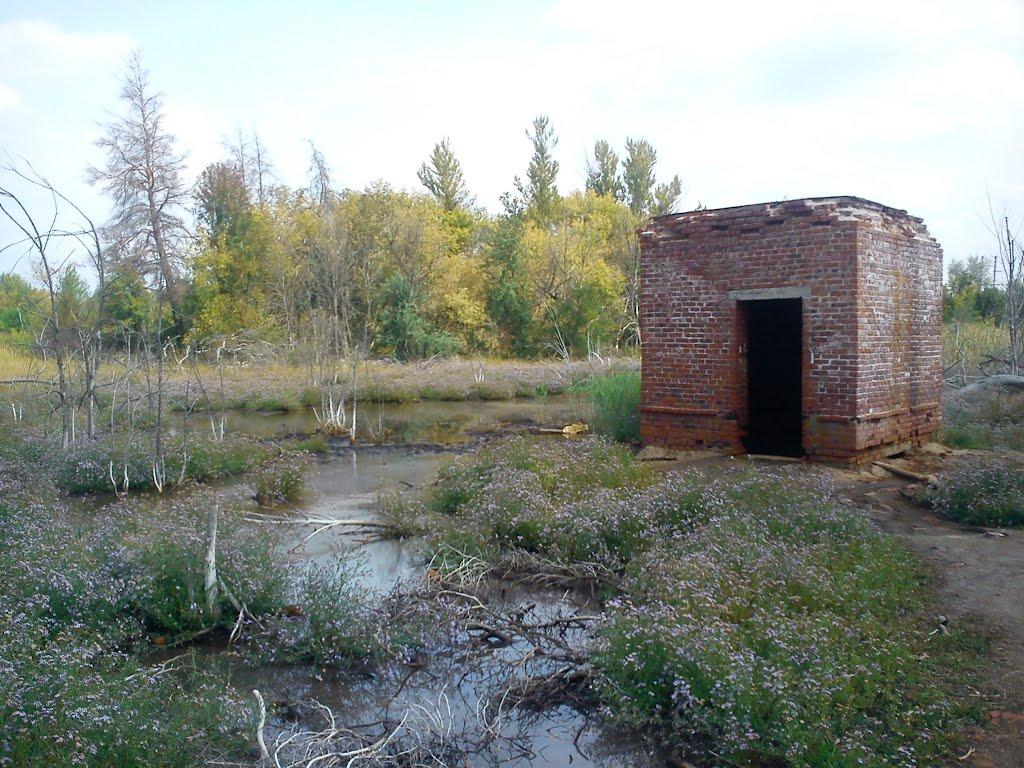 Чмирівка з panoramio.com - Чмирівка