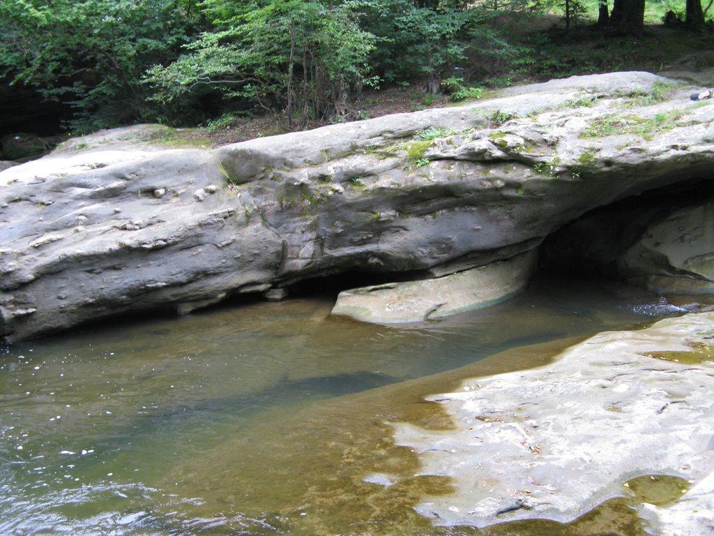 Церковна з panoramio.com - Церковна