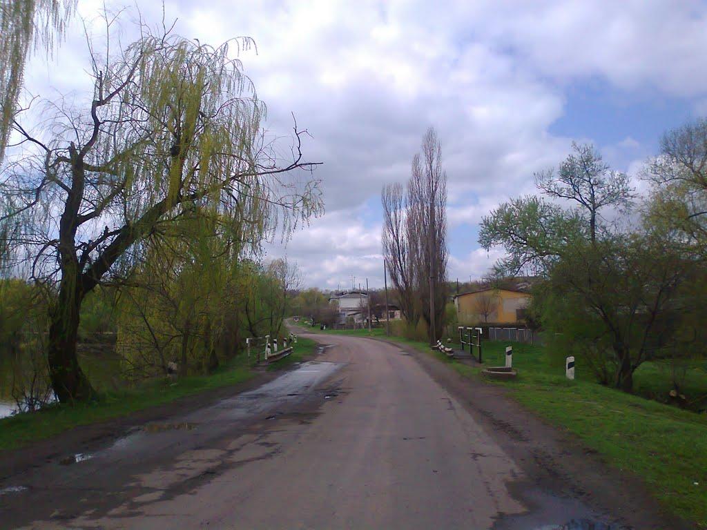 Артема з panoramio.com - Довга Балка