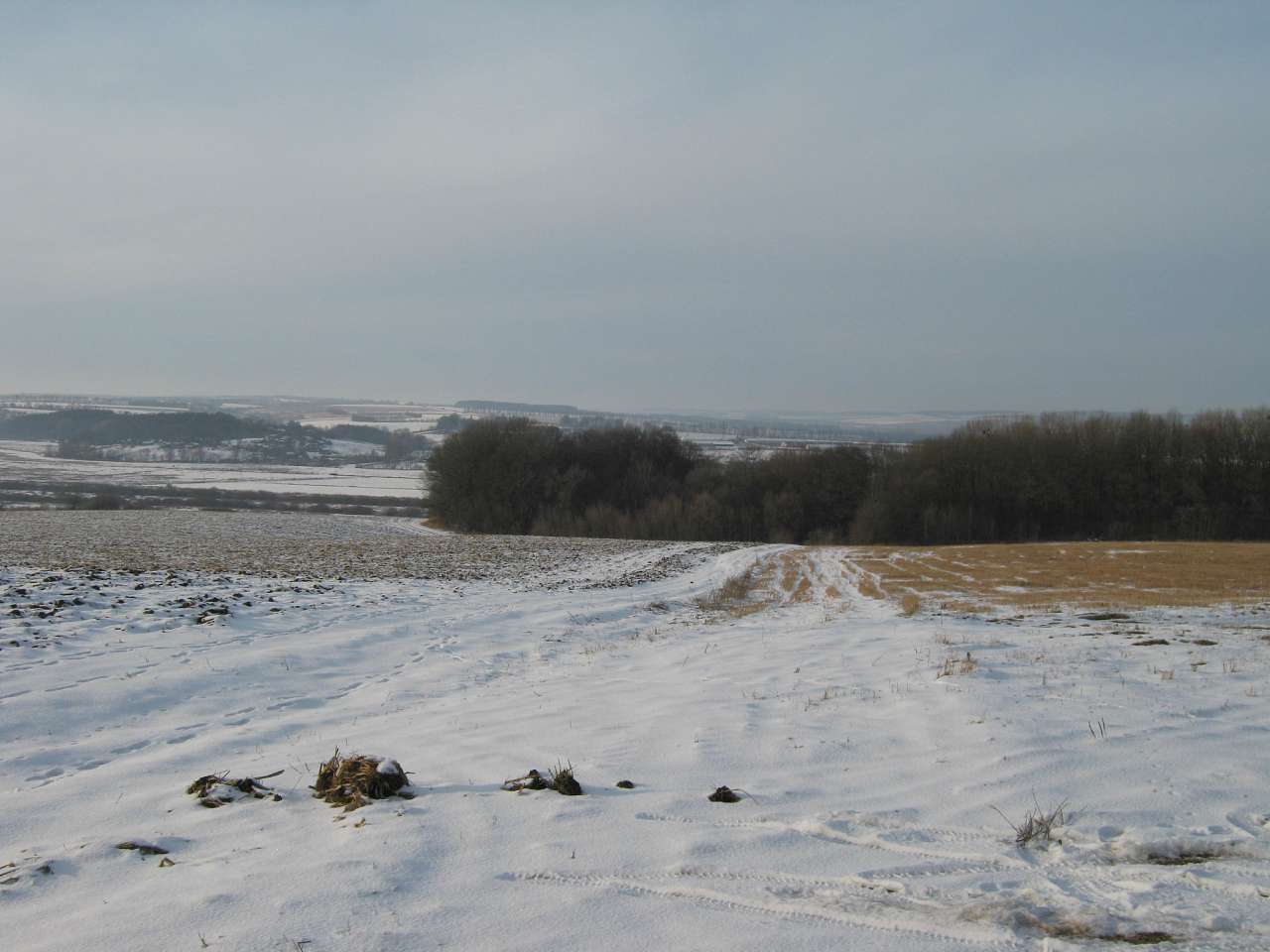 Зяньківці у грудні 2014 р. - Зяньківці