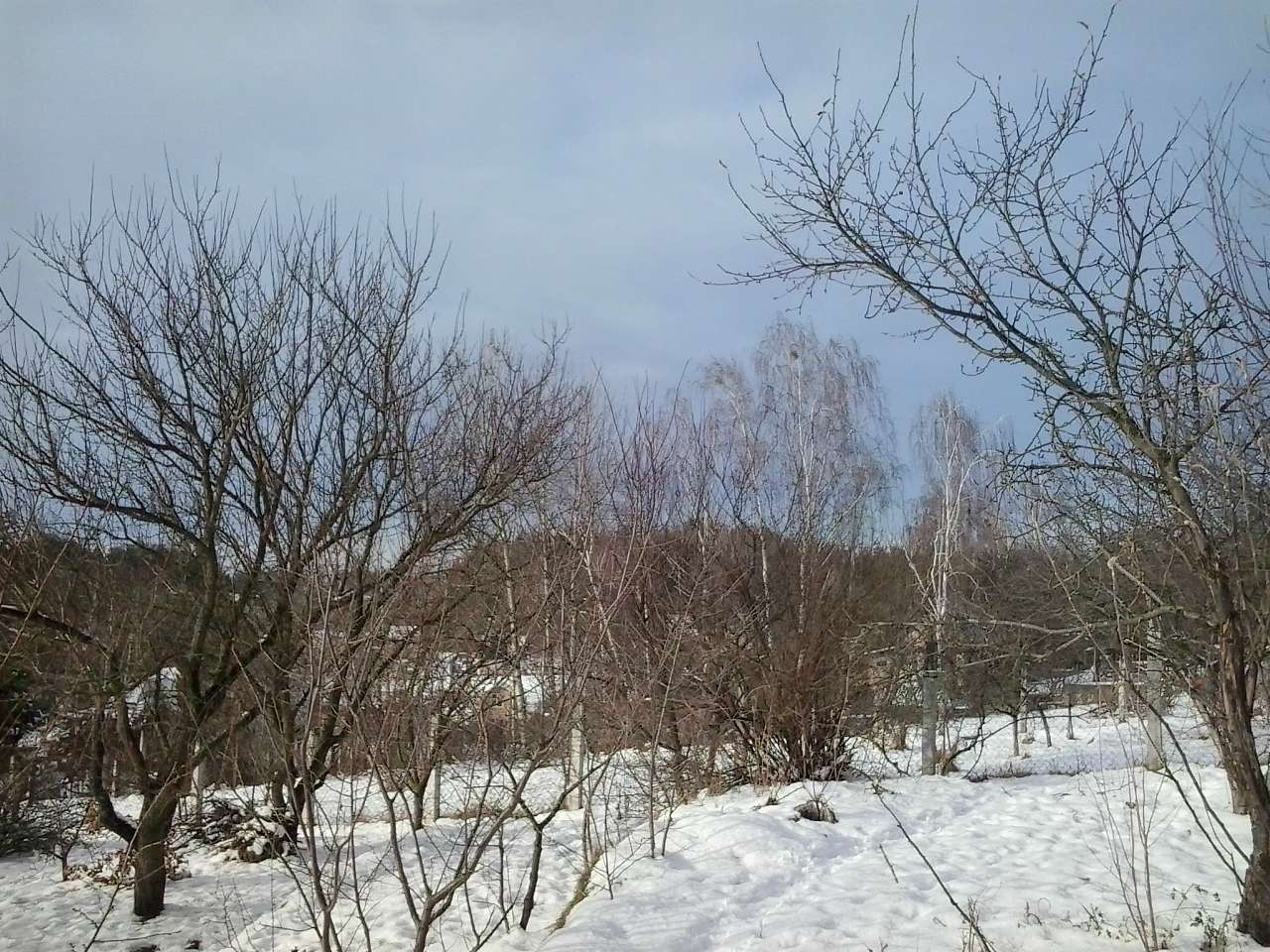 ЗИМА У НЕГРАШАХ - Неграши