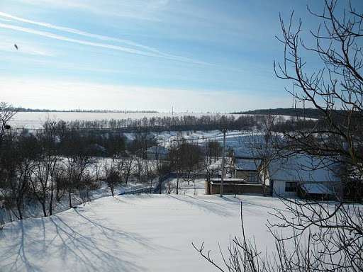 Буки з panoramio.com - Буки