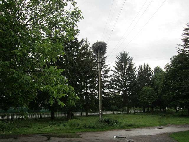 Горобіївка (фото) - Горобіївка