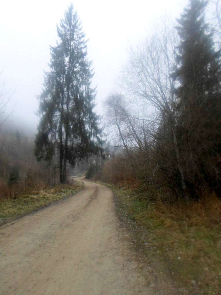 краєвиди Славська - Slavske