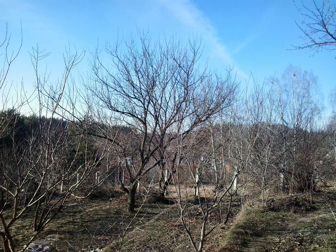 ЗИМА У НЕГРАШАХ - Неграши