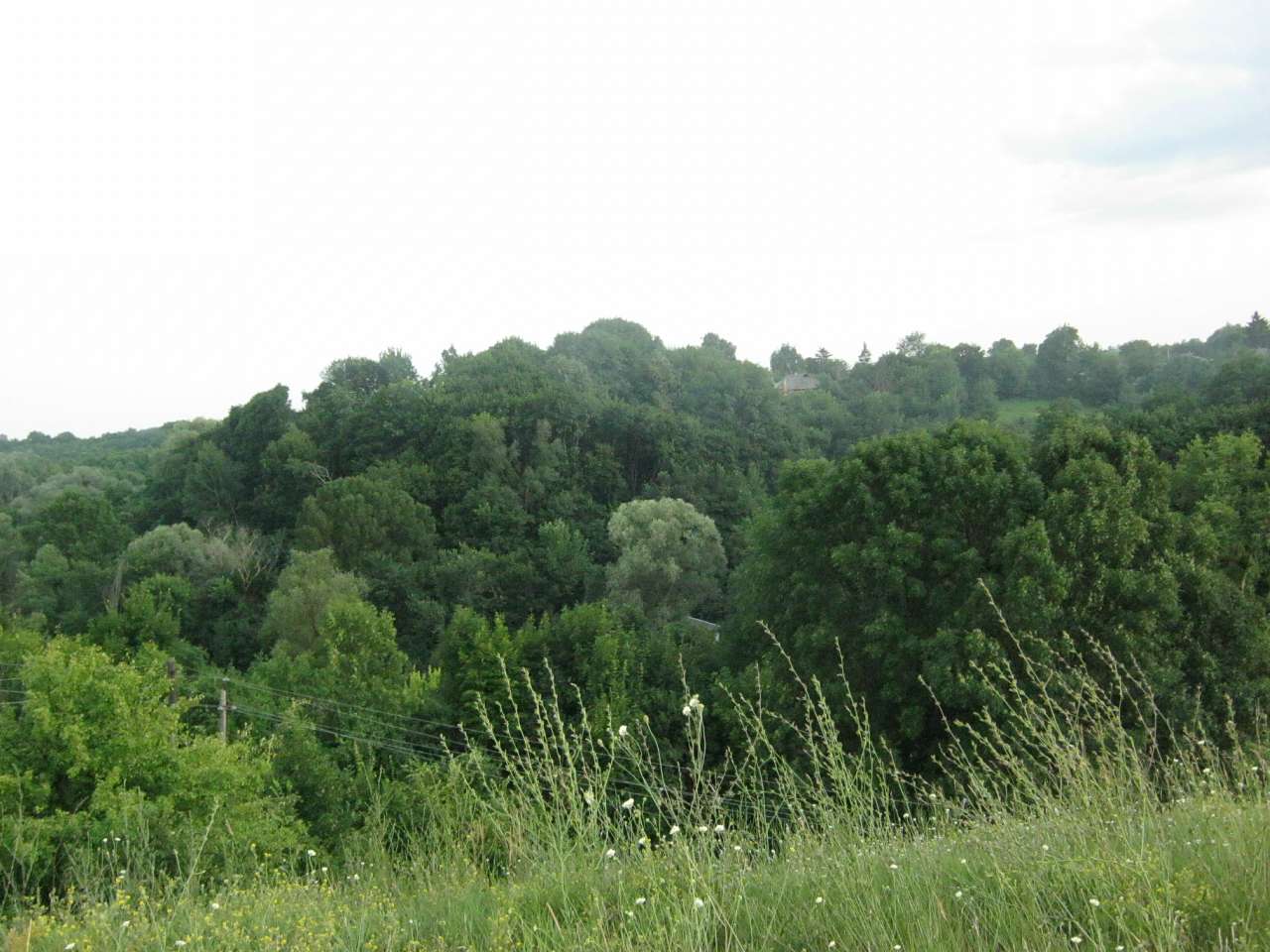 Любеч з panoramio.com - Любеч