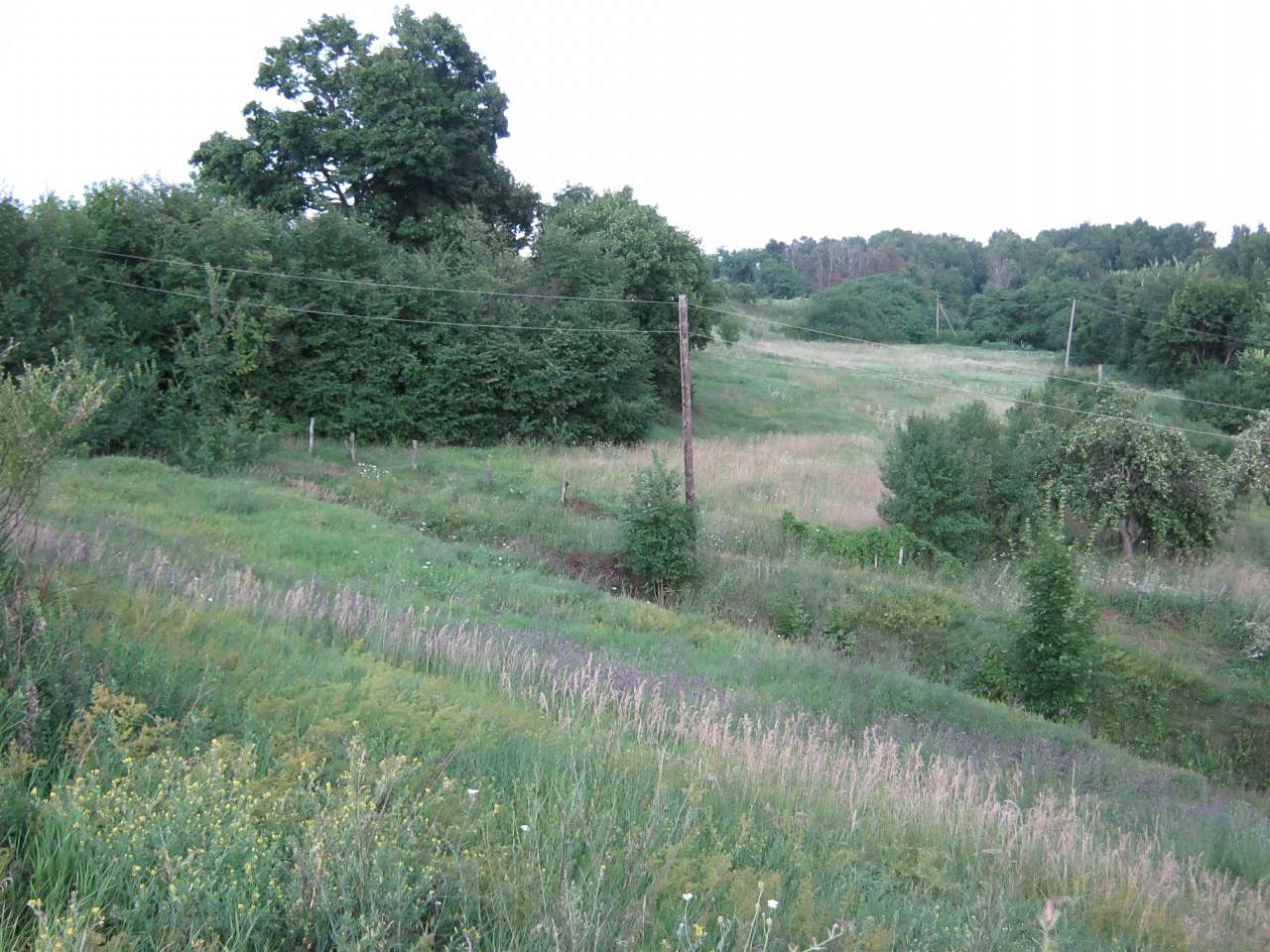 Любеч з panoramio.com - Любеч