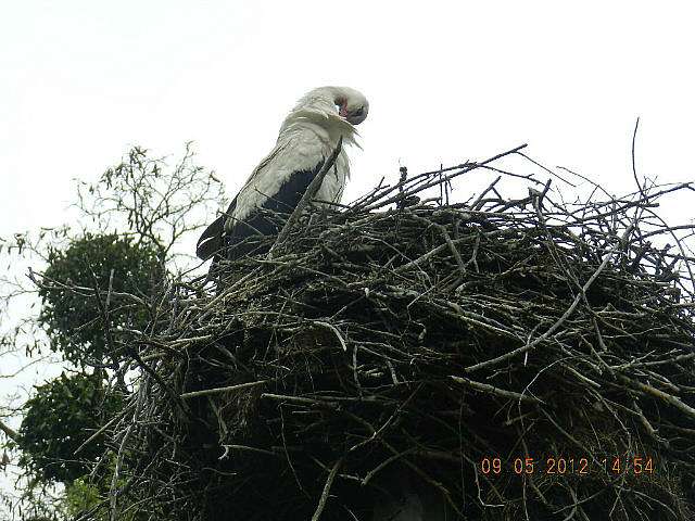 Горобіївка (фото) - Горобіївка