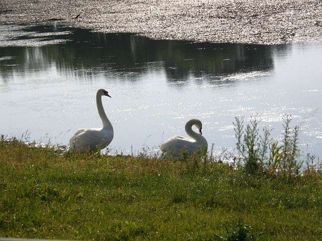Горобіївка (фото) - Горобіївка
