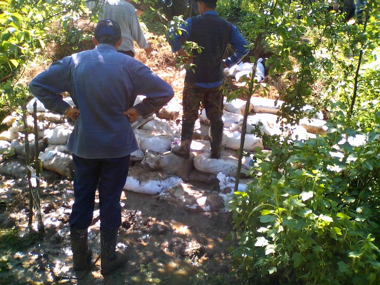 Паводок 2014 - Мости