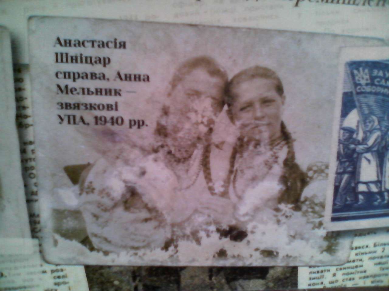 Болотня - Болотня