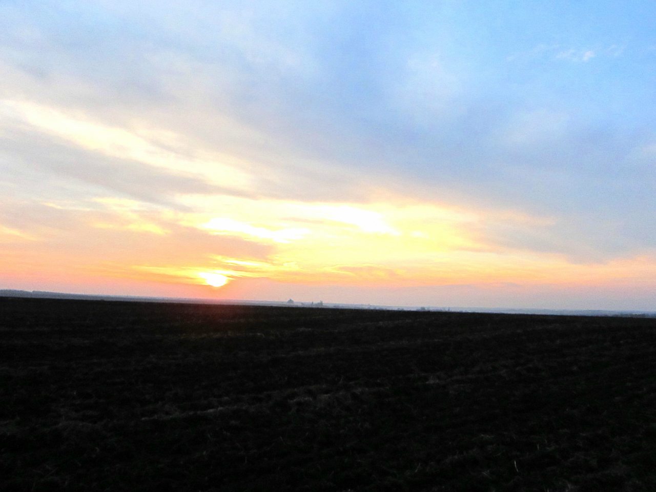 Поля Кіровоградщини - Глодоси