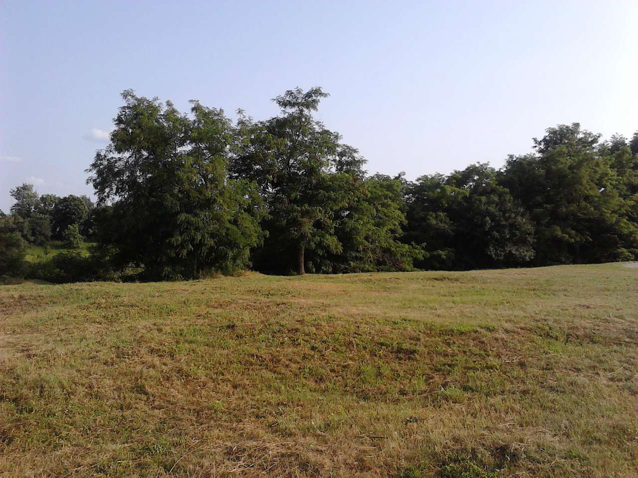 Любеч з panoramio.com - Любеч