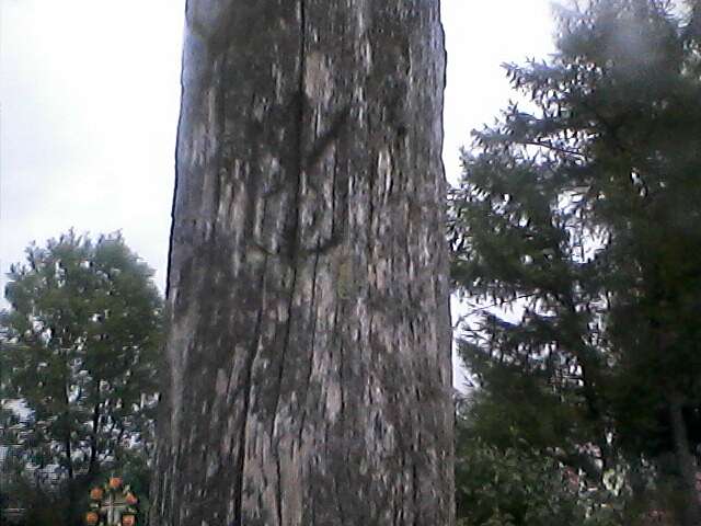 Тершаків - Тершаків