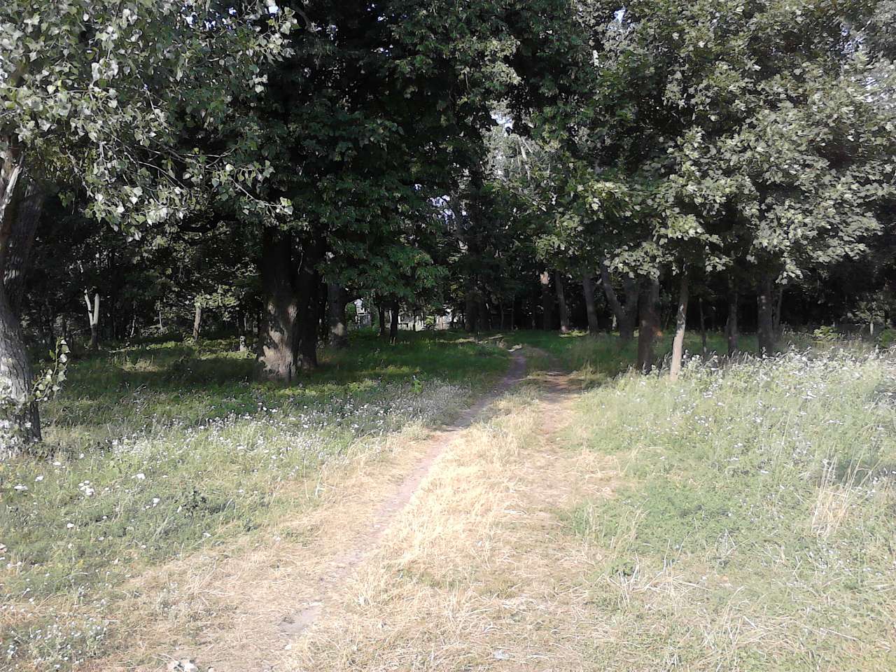 Любеч з panoramio.com - Любеч