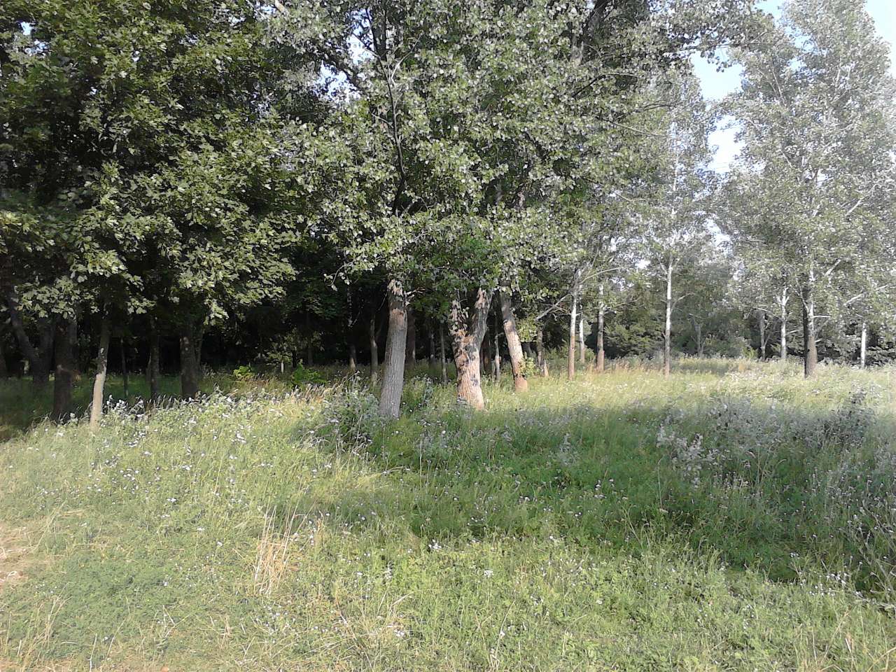 Любеч з panoramio.com - Любеч