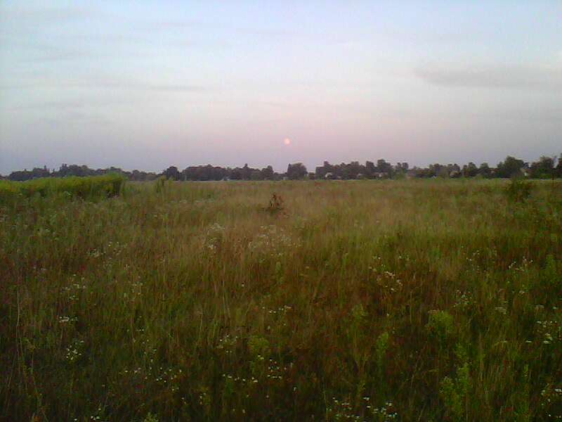 Новосілки з panoramio.com - Новоселки
