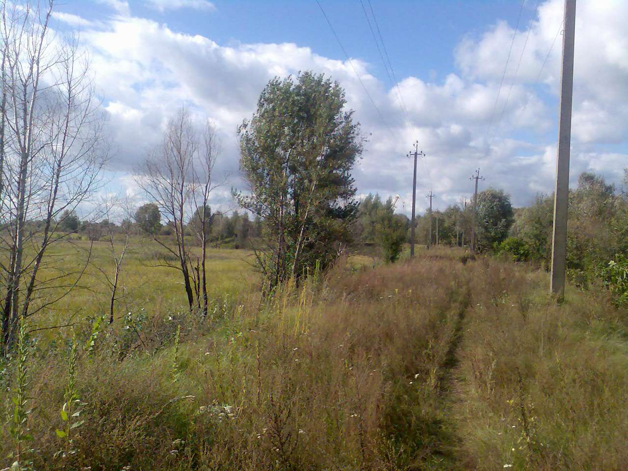 Любеч з panoramio.com - Любеч