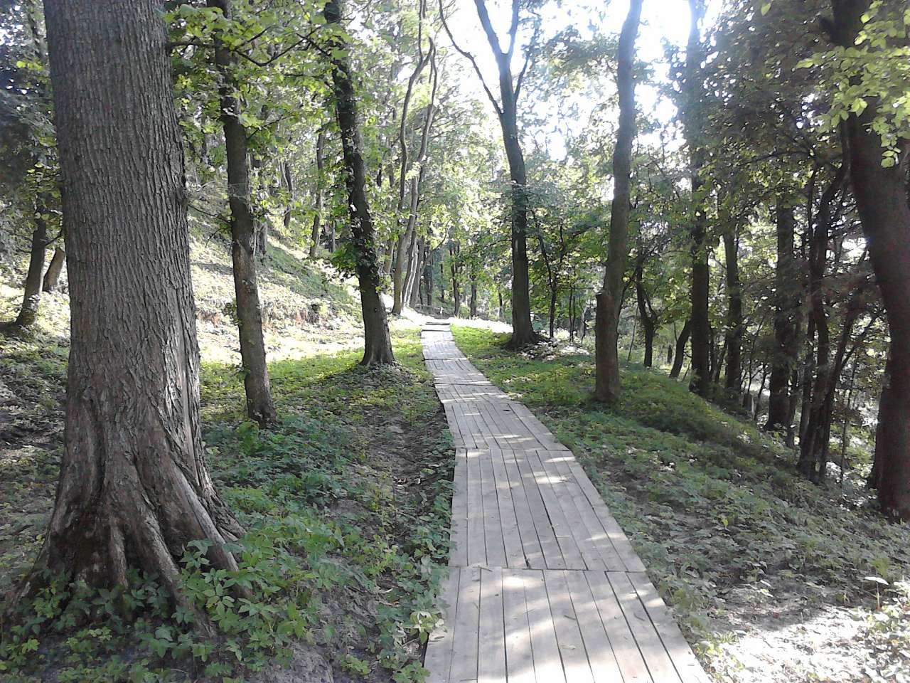 Любеч з panoramio.com - Любеч
