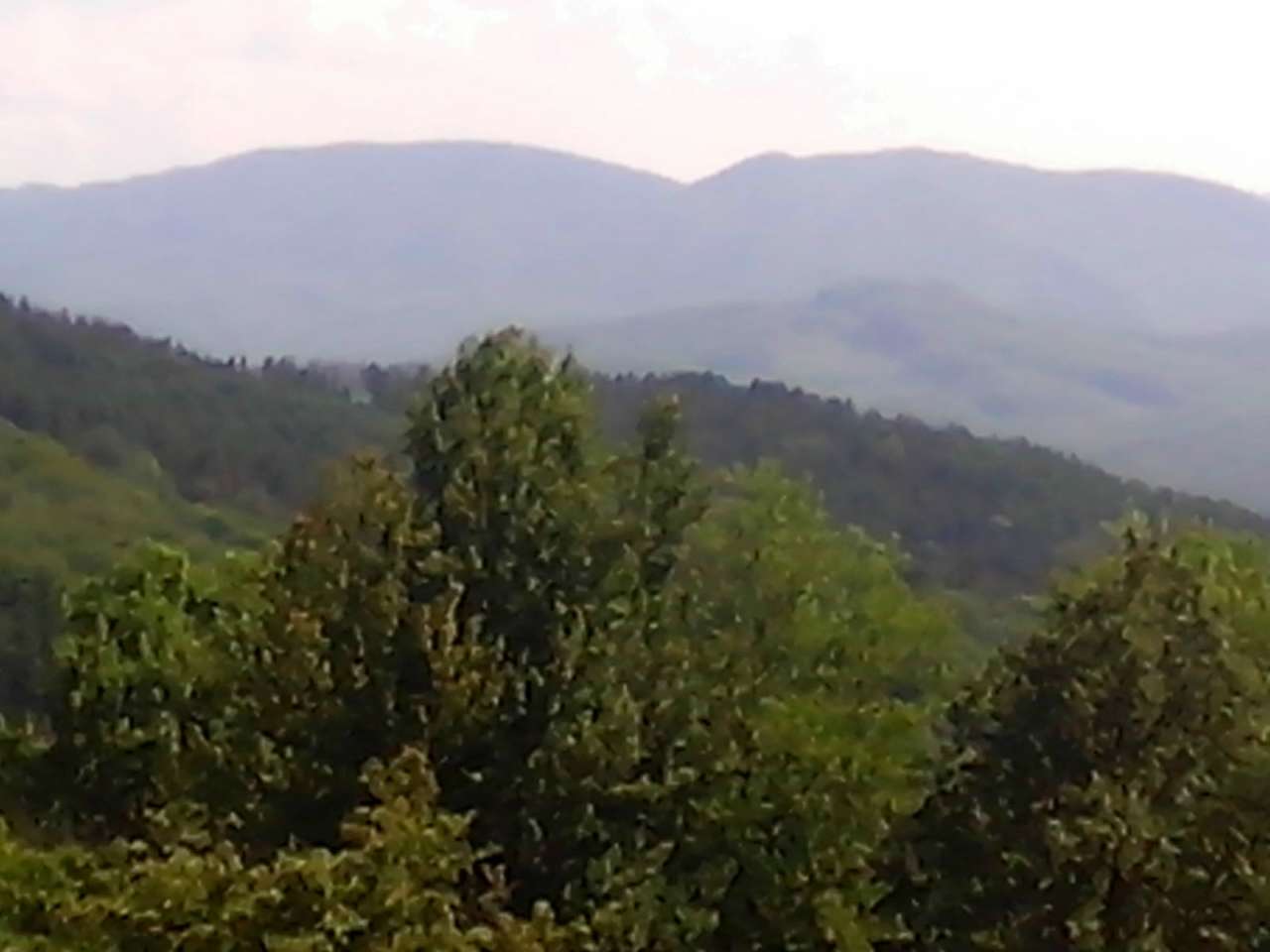 Гори - Seredniy Bereziv