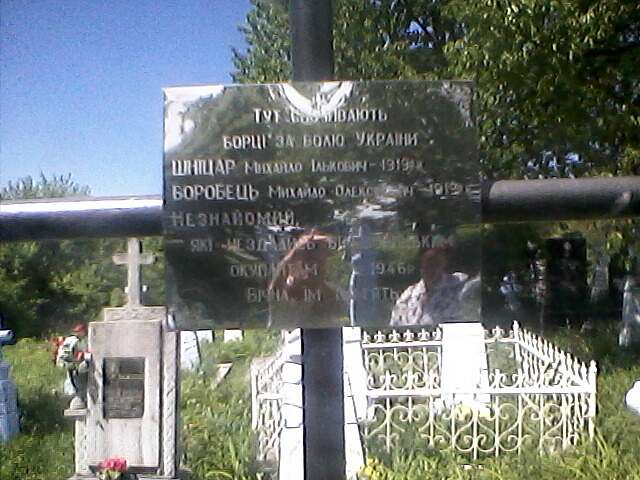 Болотня - Болотня