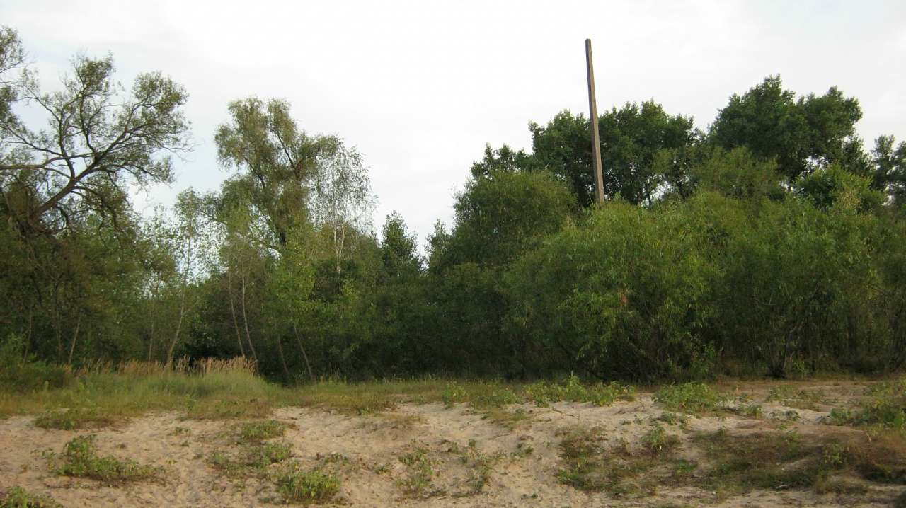 Любеч з panoramio.com - Любеч