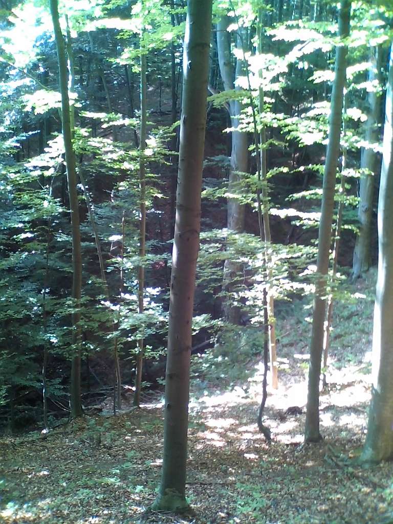 Гори - Seredniy Bereziv