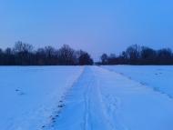 Рогівка з panoramio.com