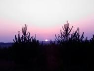 Катеринівка з panoramio.com