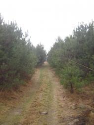 Великі Мости з panoramio.com