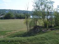 Вербка з panoramio.com