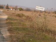 Козлове з panoramio.com