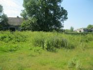 Дем'янівка з panoramio.com