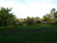 Уріччя з panoramio.com