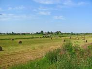 Новостав з panoramio.com